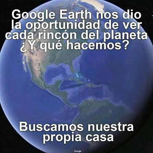 Instinct 🐯 tweet media