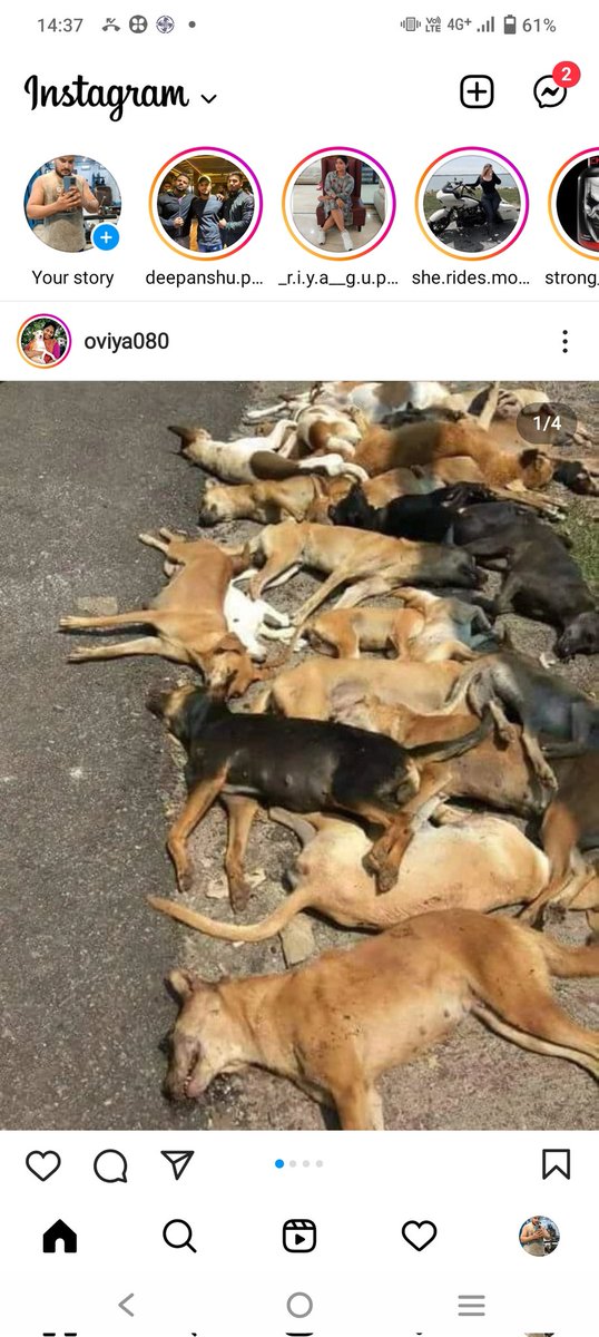 vikramP02189897's tweet photo. @bharatjodo @RahulGandhi @INCIndia Sir this event from Kerala please help us..🙏 https://t.co/nfWfB9X6EG