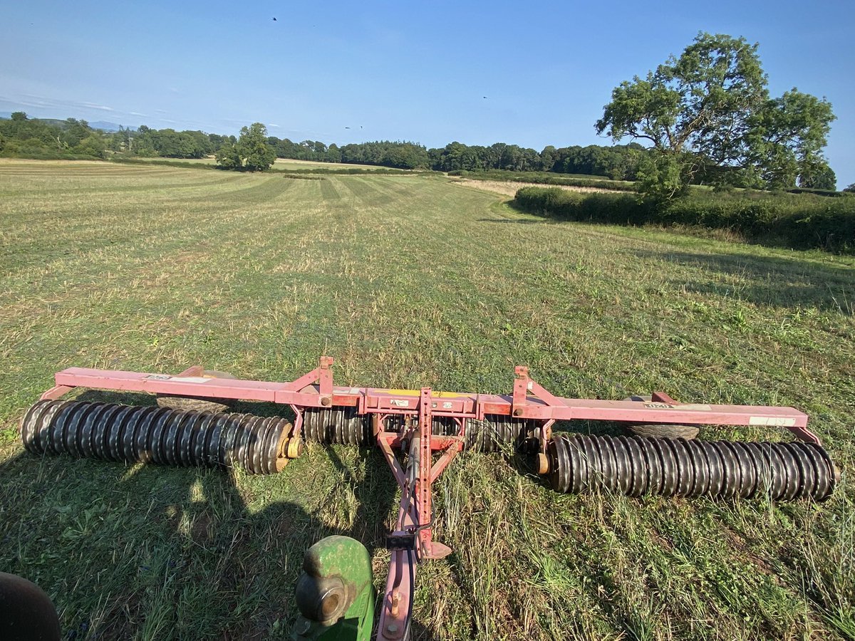 Boycefield Herefords tweet media