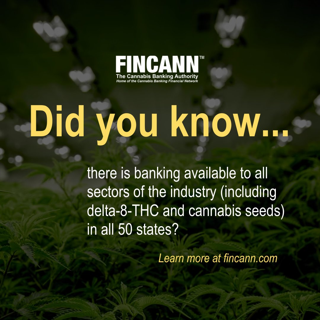 Fincann tweet media