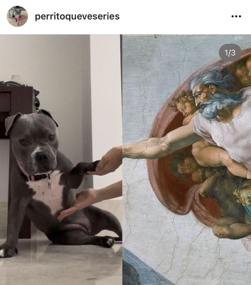 Daniel de la Garza tweet media