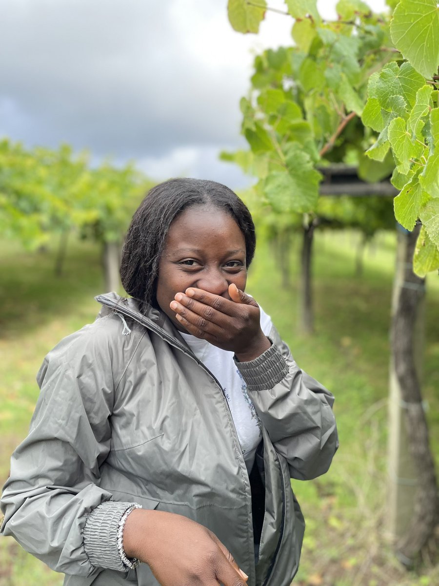 TreeHealthDoc's tweet image. @IUFROdivision7 field trip to @bodegagranbazan where they produce six different wines. Few of us, including @DuroBless and @soumya4evr, tasted the 🍇 2/3 #ForestHealth2022 @7GTPI2022