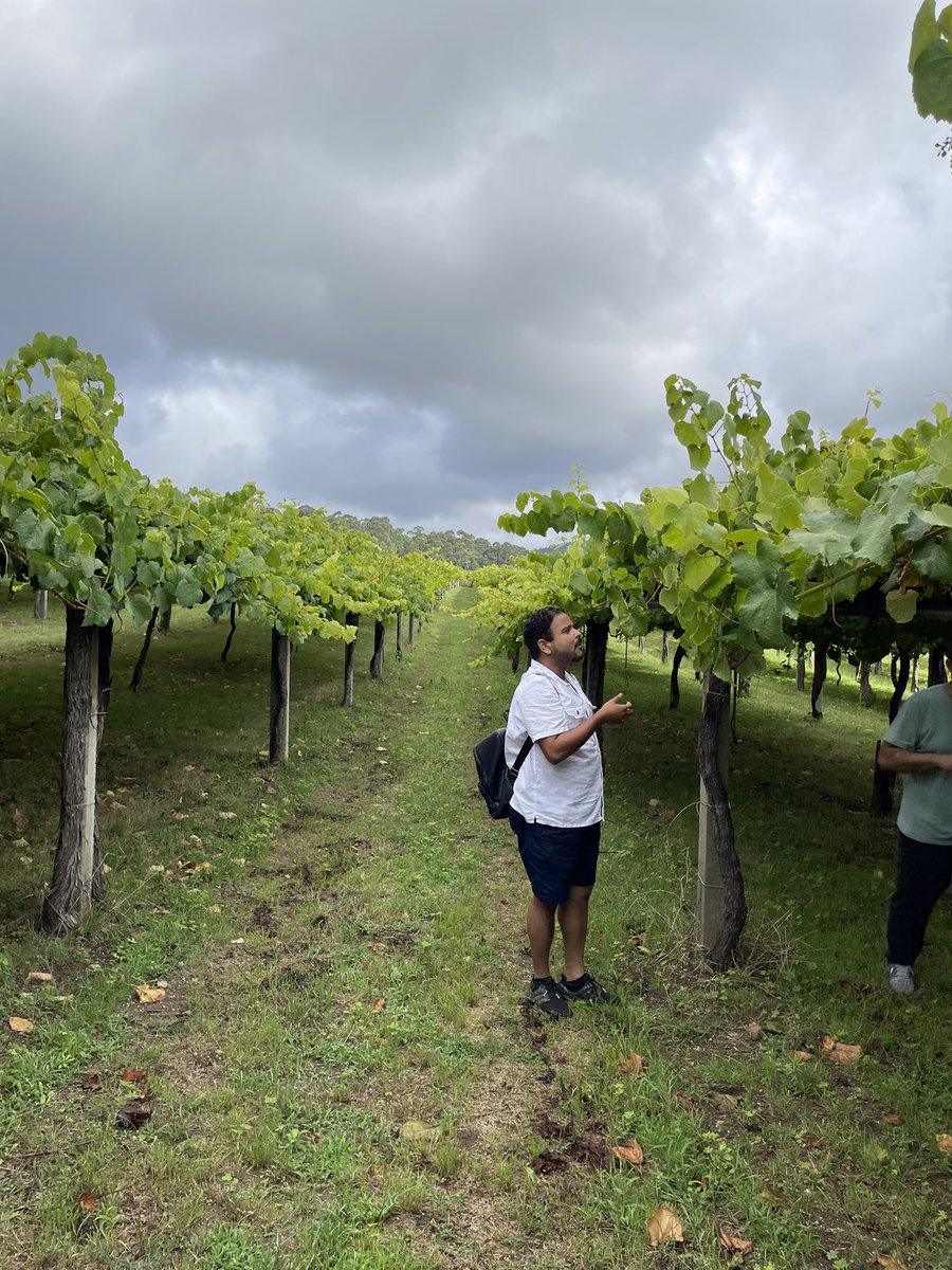 TreeHealthDoc's tweet image. @IUFROdivision7 field trip to @bodegagranbazan where they produce six different wines. Few of us, including @DuroBless and @soumya4evr, tasted the 🍇 2/3 #ForestHealth2022 @7GTPI2022