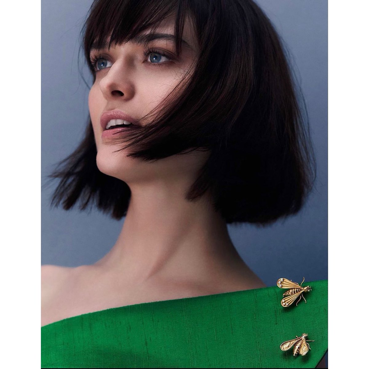 Rollo🐬🦄 tweet media