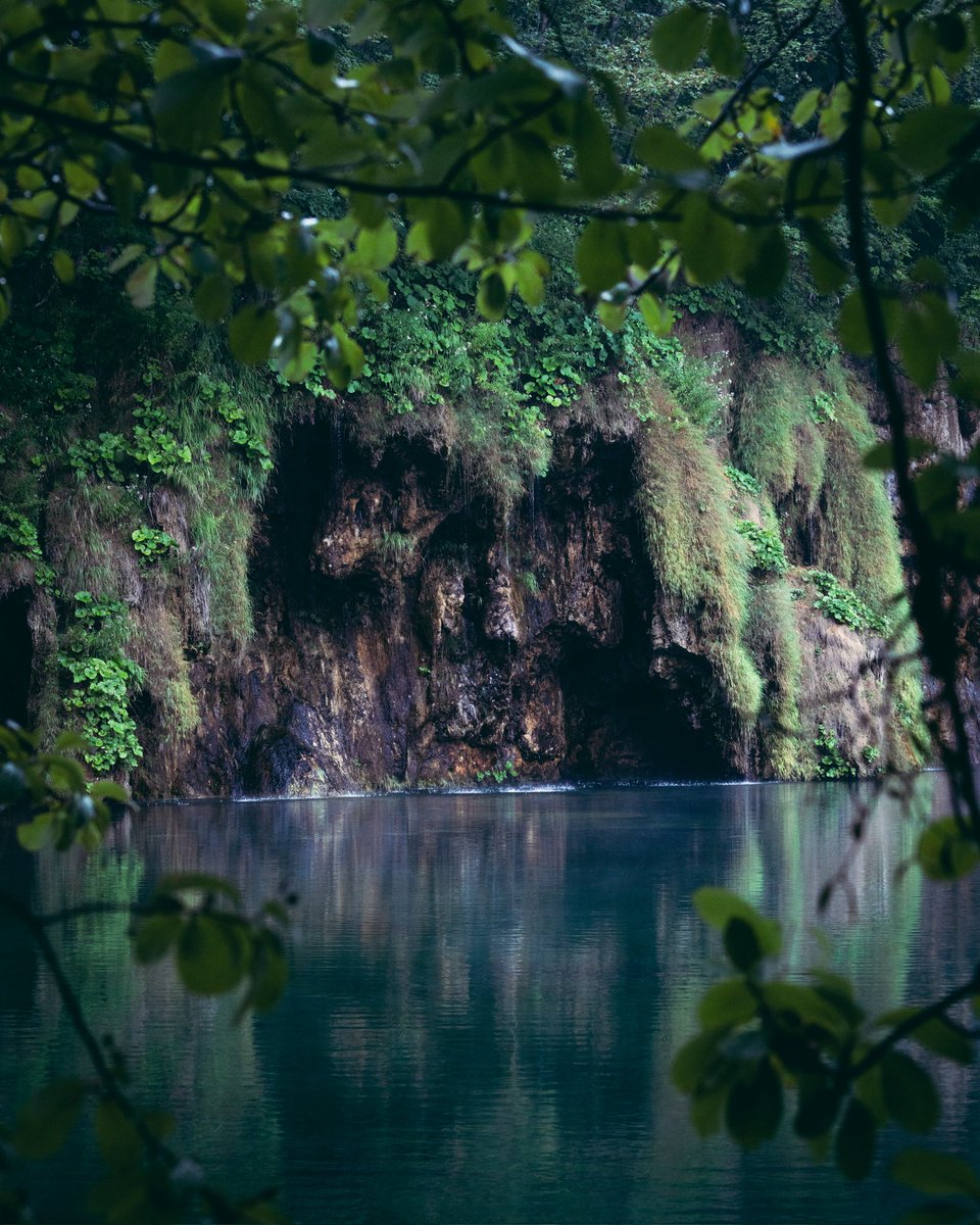 steventhiel5's tweet photo. Lakes in Crotia https://t.co/ggpawwje5A