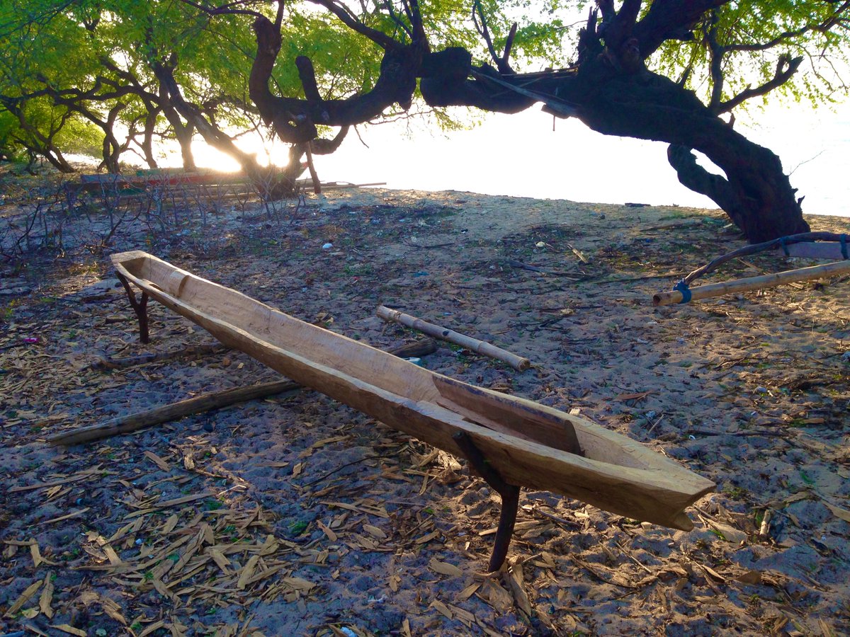 Vanessa Burns tweet media