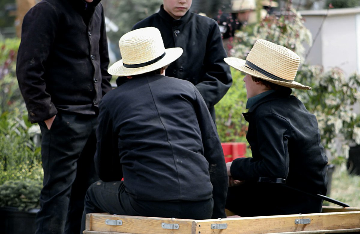 LandisHomes's tweet photo. On Wednesday, September 28, we invite you to visit two Amish schools in Lititz. At each school, you will observe teachers and students in the classroom lessons and have an opportunity for questions and answers with students.

Register today: https://t.co/Di9Xz9Y4D1 https://t.co/94vj6kuAsL