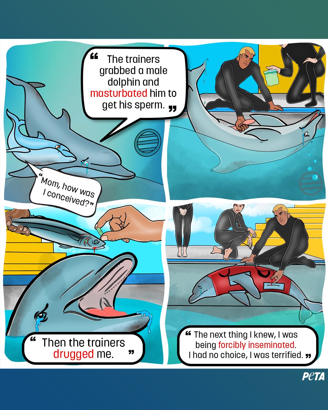 PETA on Twitter: "The sexual abuse of dolphins is just one of the countless reasons why you