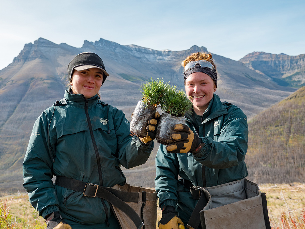 WatertonLakesNP's tweet photo. Help Parks Canada restore endangered whitebark pine trees. 🌱 Volunteers are needed on Friday, September 16 to help plant whitebark pine seedlings.
This opportunity is physically demanding. Information: https://t.co/BipBj4aBhJ https://t.co/v2wEdnDH8c