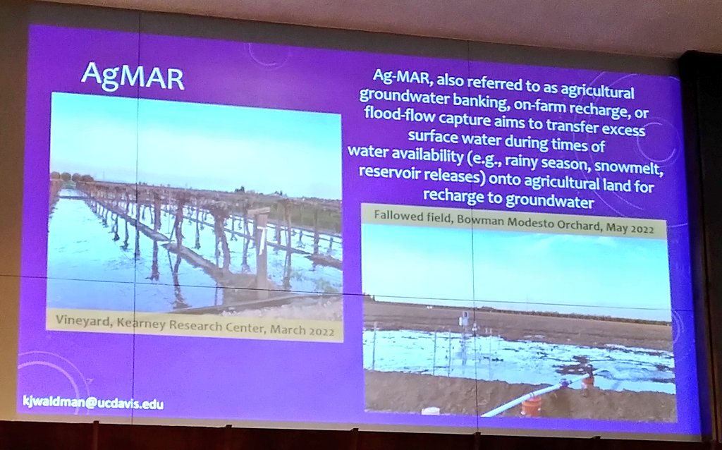 jha_guillaume's tweet photo. @kirawaldman30: looking at #agmar as a dual use of land that can help transfer surface water to groundwater; work on risks of geogenic contaminants 

#chapmanwater https://t.co/xYnFJTZ4qE