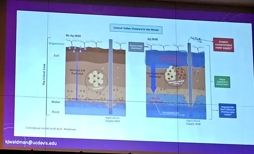 jha_guillaume's tweet photo. @kirawaldman30: looking at #agmar as a dual use of land that can help transfer surface water to groundwater; work on risks of geogenic contaminants 

#chapmanwater https://t.co/xYnFJTZ4qE