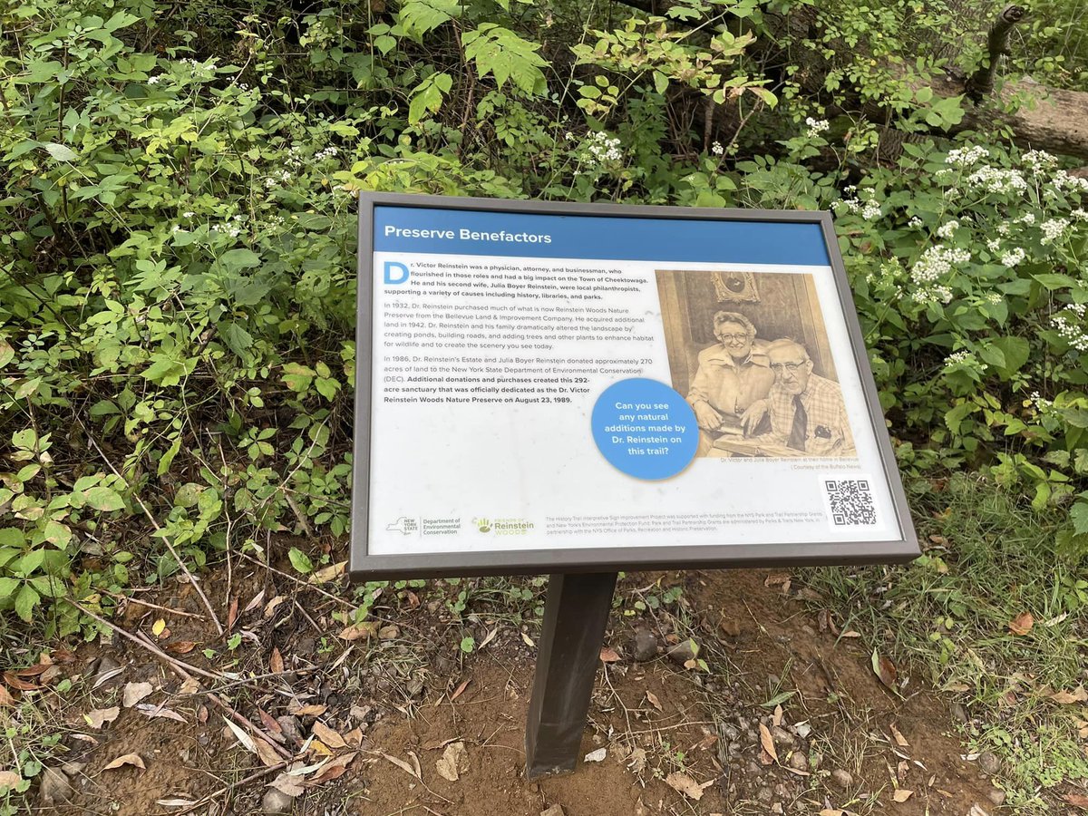 Assm. Monica Wallace tweet media