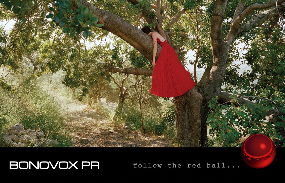 BonoVoxPR tweet media