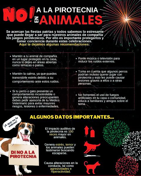 happyzonelol's tweet photo. ¡Cuidemos de los animales! 🐶 🐈 https://t.co/8TF7Jw18qC