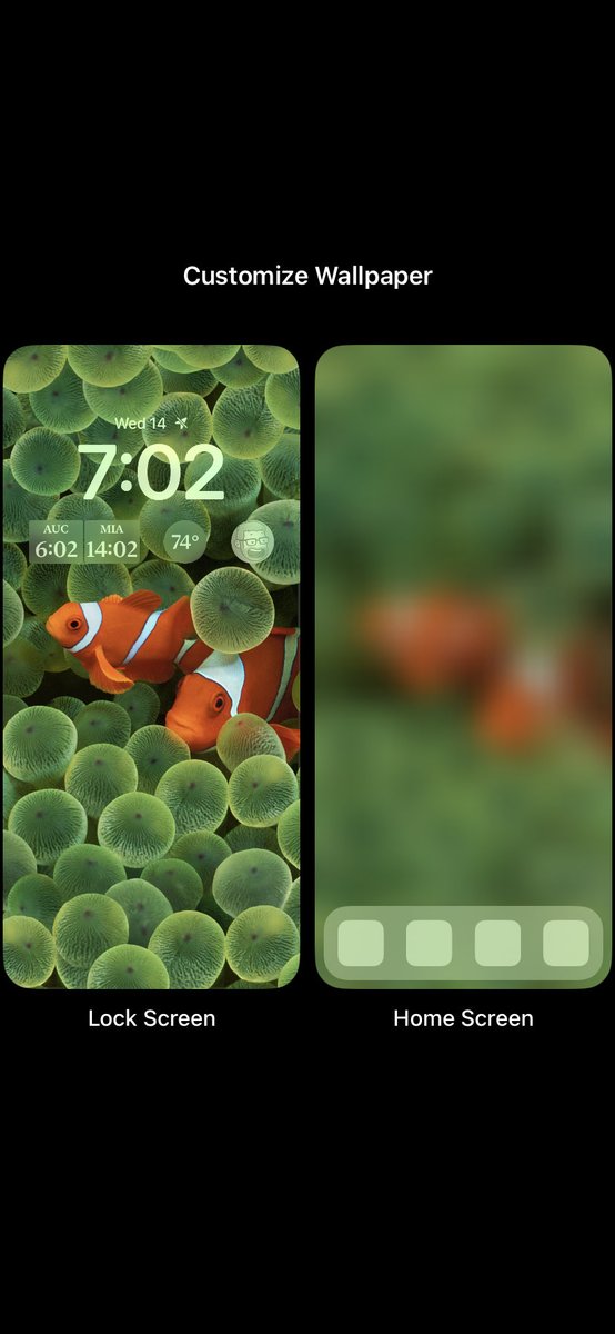 David Smith tweet media