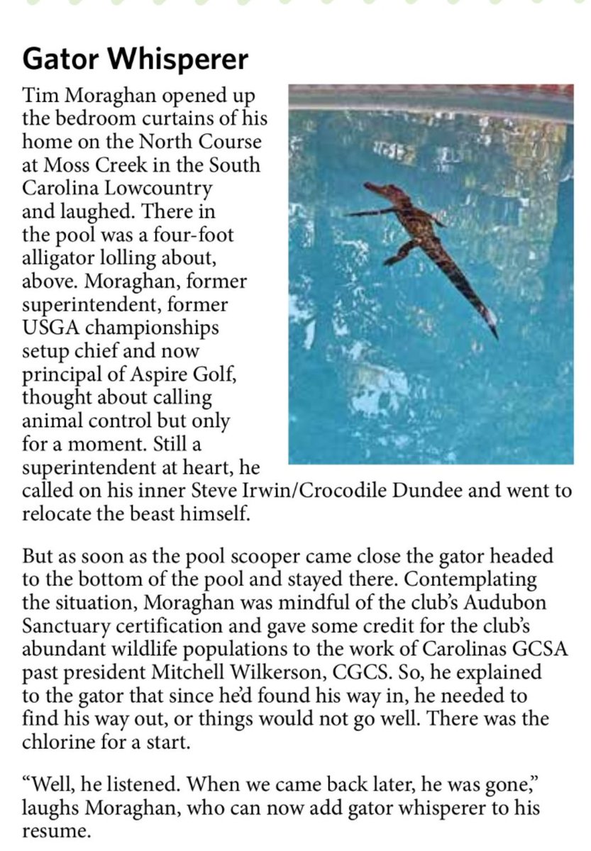 MossCreek_SC's tweet photo. Moss Creek Member, Tim Moraghan aka "The Gator Whisperer," was spotlighted in the September/October Carolinas Green Magazine.
#carolinasgcsa #golfcoursesuperintendent #golf #devilselbow #mosscreek #welivehere #nature #alligator #pooltime #swimmingpool #lovewherewelive https://t.co/WxvzrhVxPq