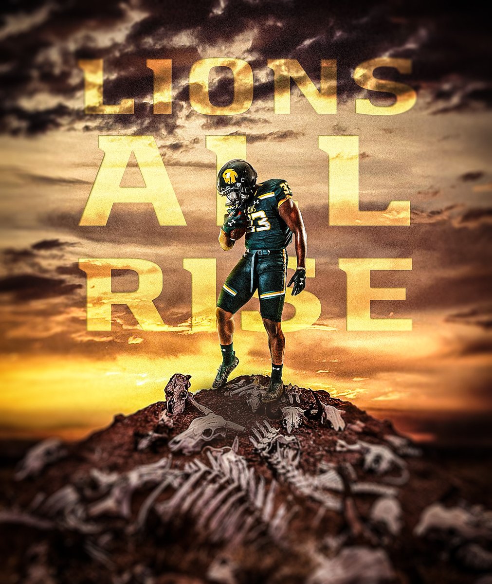 Rise Above & Beyond #LionsAllRise