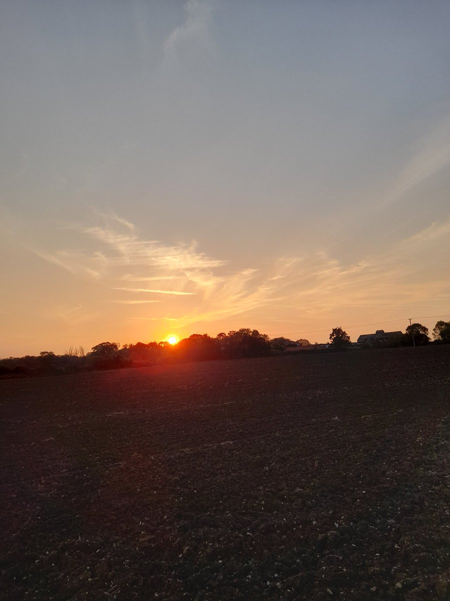 Lmillsy_135's tweet photo. #Oldfashioned touch in the current cycle of farming with a fitting view of Widford church over yonder! Ploughed, dried then a few mm 🌧 last night followed by a drying day& pulled down lovely this evening under a perfect #Autumn #cultivations sunset #caughtontime #happydays https://t.co/LIHpNmcl10