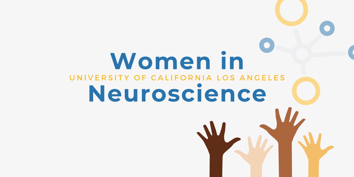 Women in Neuroscience is a community space @ UCLA  for women + nonbinary folks // fostering support, mentorship, and collaboration 👩🏼‍🔬👩🏻‍🔬👩🏽‍🔬👩🏾‍🔬👩🏿‍🔬 We look forward to connecting with everyone on campus! Stay tuned for information about our first event✨