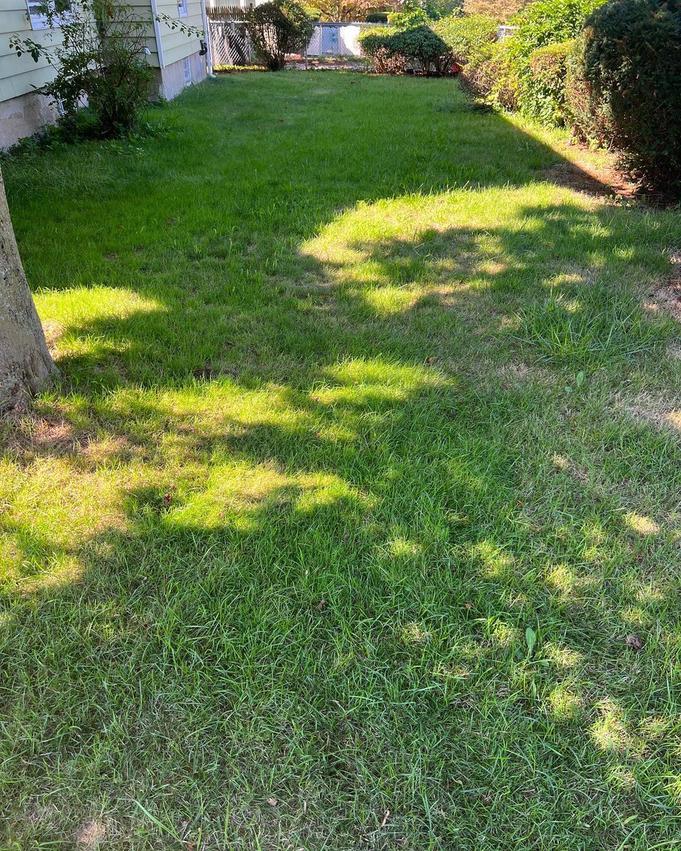 SnowBrosLLC's tweet photo. ALEXA 🗣 play
 (DJ Khaled GOD did)🎶🎶 😎We’re thrilled to serve our community, and putting in our maximum effort is mandatory. 😃☀️ #lawn #cleanup #mowing #bushtrimming #weedwacking #fairfeildcounty #norwalk #stamford #bridgeport #westport #snowbrosllc https://t.co/fxHaKlq1pZ