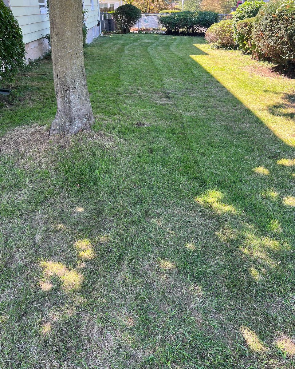 SnowBrosLLC's tweet photo. ALEXA 🗣 play
 (DJ Khaled GOD did)🎶🎶 😎We’re thrilled to serve our community, and putting in our maximum effort is mandatory. 😃☀️ #lawn #cleanup #mowing #bushtrimming #weedwacking #fairfeildcounty #norwalk #stamford #bridgeport #westport #snowbrosllc https://t.co/fxHaKlq1pZ