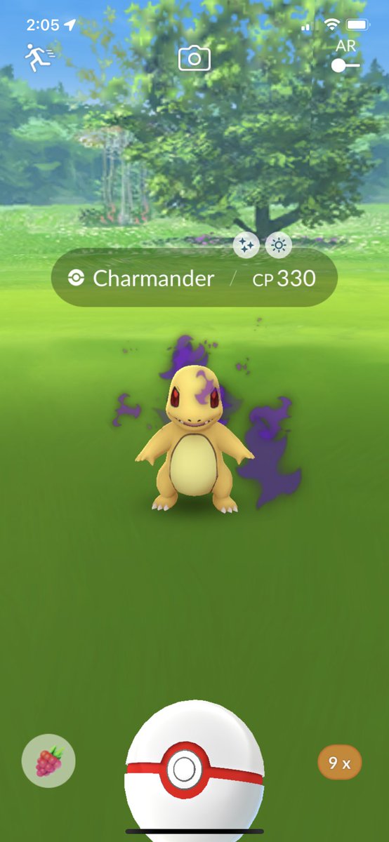 alolanelizabeth's tweet photo. YOOOOOOO 😍😍😍✨ #shinycheck #ShinyPokemon #PokemonGO https://t.co/ScViDUP25k