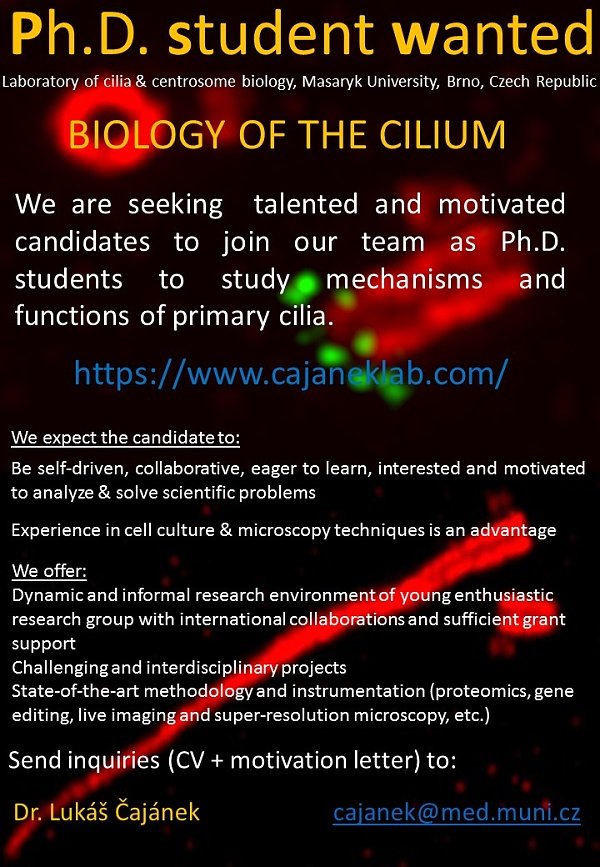 Young, dynamic lab that likes to study cilia and drink beer is looking for motivated, ambitious, friendly PhD person ;)