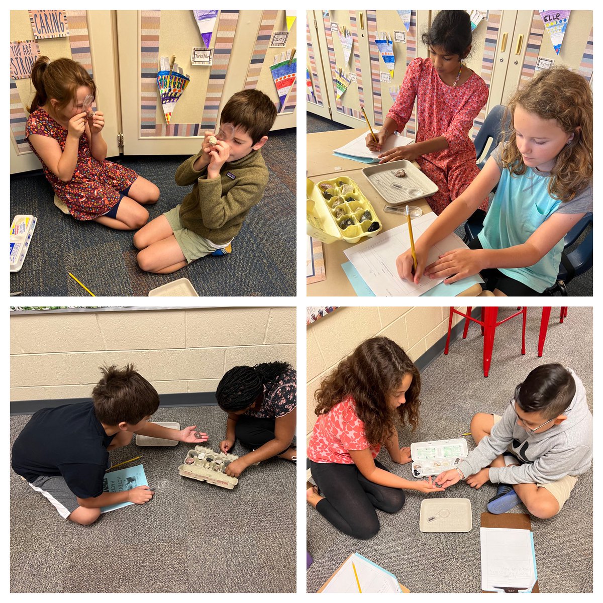 Amanda O'Neil tweet media