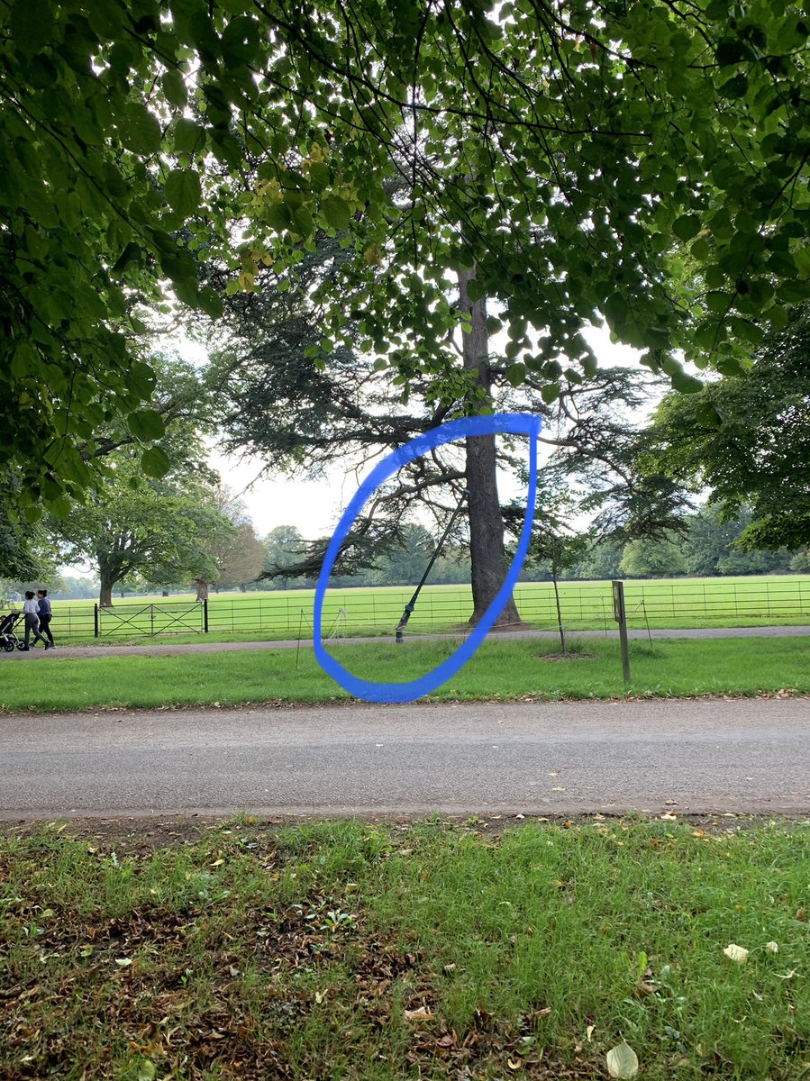 jofLeach's tweet photo. @OsterleyNT Thanks for responding, that’s good to hear, I hope that does prove to be the case.  Logically, installing general waste bins next to the dog poo bins would greatly help…   Ps:  Any chance of the lamppost on the driveway (damaged back in February) being fixed / removed?? https://t.co/yik24uECVx