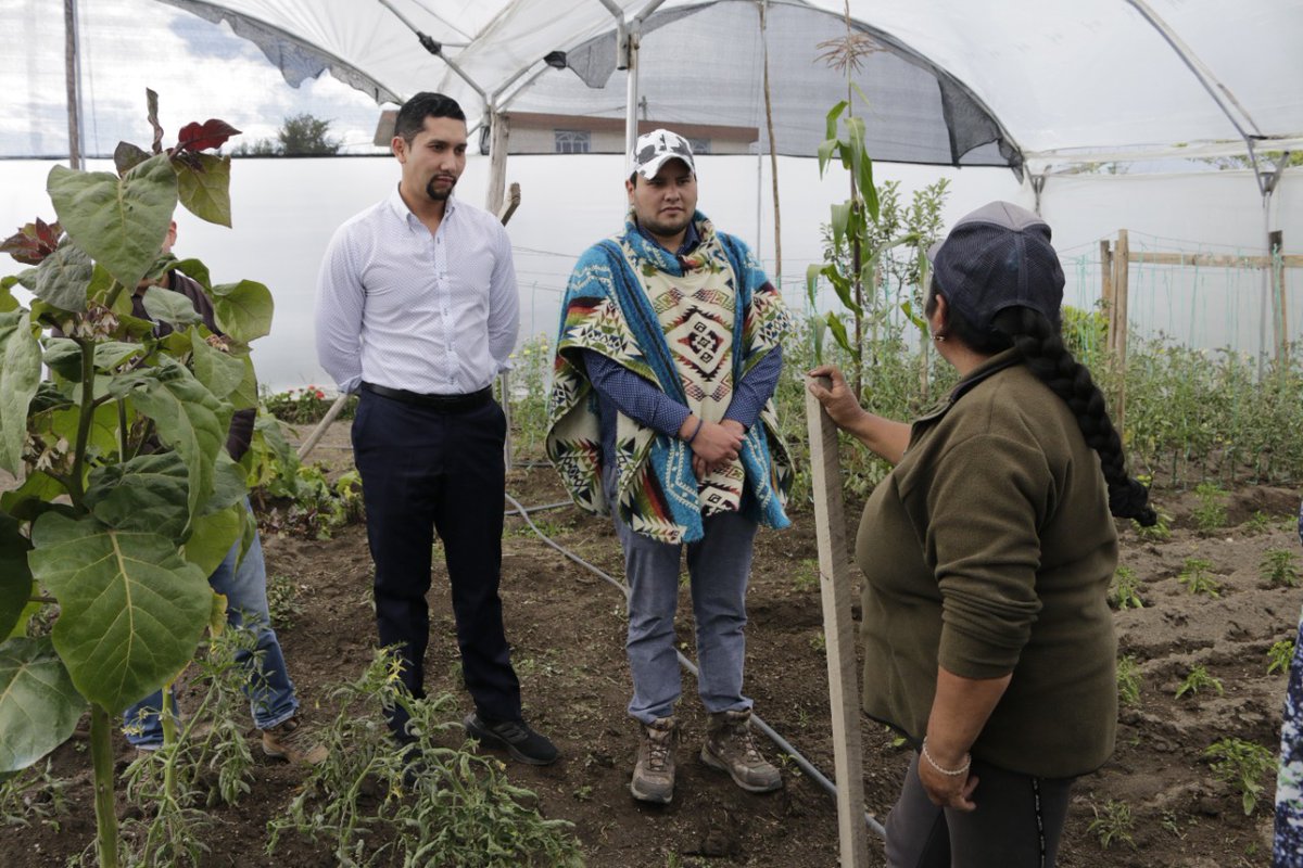DannyCoronel89's tweet photo. Junto al gerente del proyecto #PIATER, @JimmyAvilaJar, el director distrital de @AgriculturaCOT, Alejandro Moreno, recorrió las parroquias Pastocalle y Tanicuchí para verificar las asistencias técnicas y capacitaciones que se realiza en territorio. https://t.co/xXLCnYKqv5
