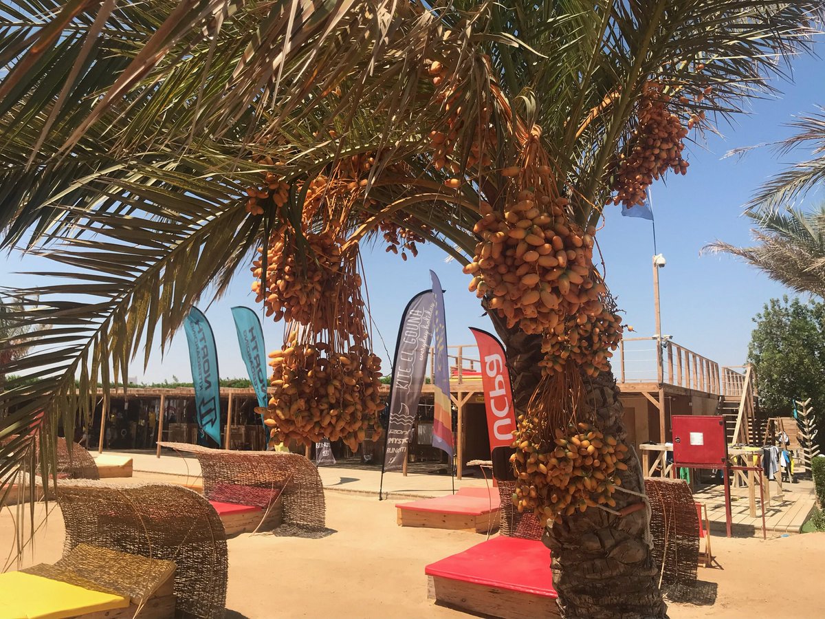 Horatius tweet media