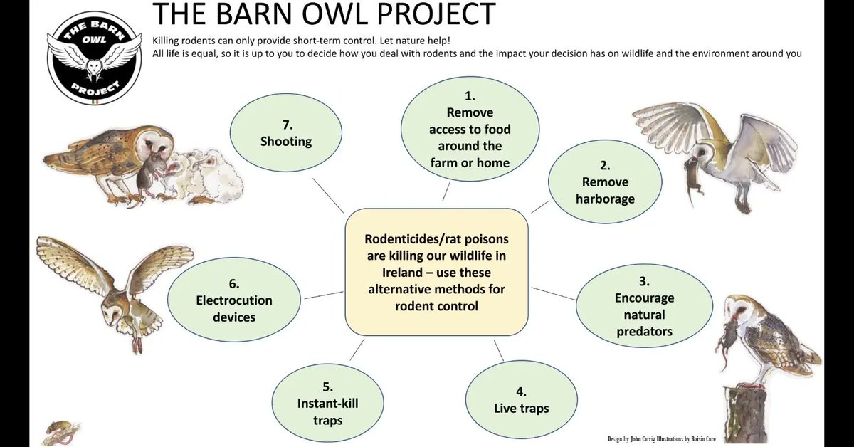 A little leaflet we put together for people wanting to move away from using rat poison rodenticide /wildlife poison. Its a little more work, but once you work with nature and encourage the predators, they will do the job for you. <a href="/farmersjournal/">Irish Farmers Journal</a>
<a href="/BeechlawnFarm/">Beechlawn Organic Farm</a> <a href="/RoisinCure/">Róisín Curé</a>