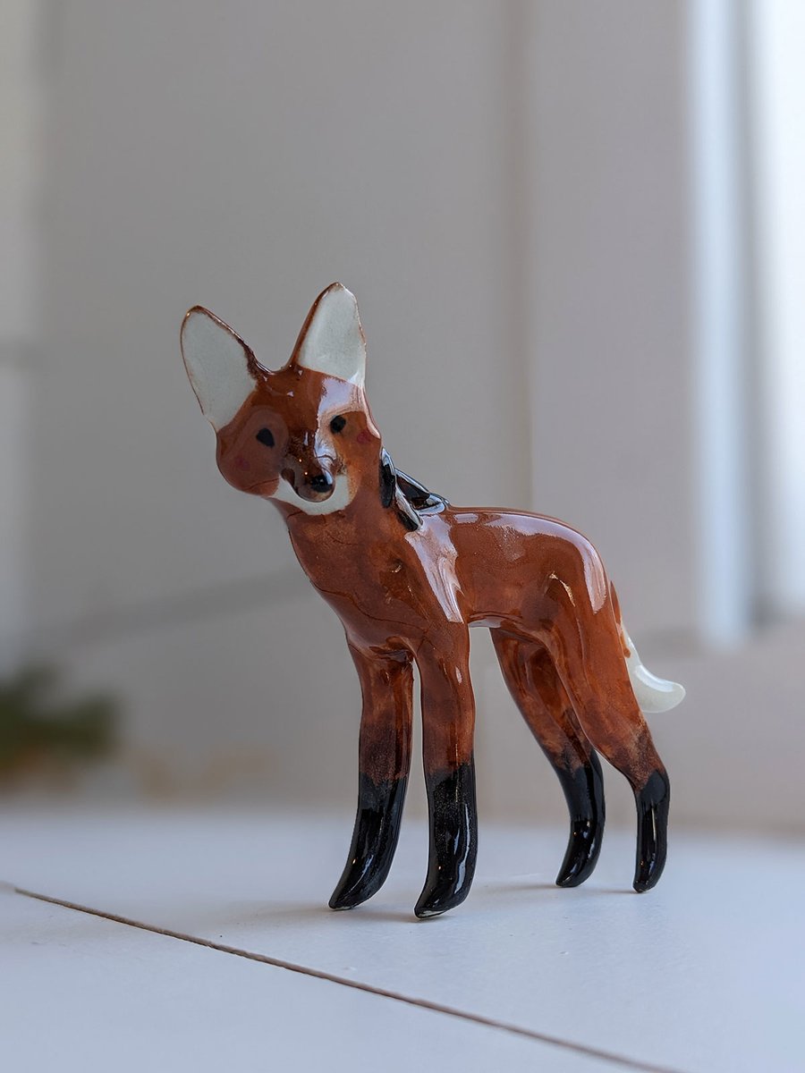 A maned wolf (it's not a wolf)