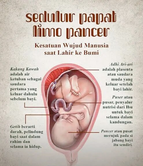 Sedulur Papat Limo Pancer

1. Kakang Kawah
Kakang kawah didefinisikan sebagai air ketuban yang membantu manusia lahir ke alam semesta ini, seperti yang kita ketahui, sebelum bayi lahir air ketubanlah yang keluar terlebih dahulu untuk membuka jalan lahirnya ke alam semesta.