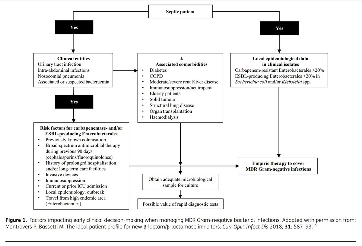 This is a ⚡fantastic article⚡
by super 🌟s Dr. Bassetti &amp; <a href="/davidvanduin/">David van Duin</a> <a href="/jac_amr/">JAC-AMR</a>
We really need more adoption to RDTs coupled with stewardship programs  
Early appropriate diagnostics and treatment of MDR Gram-negative infections #IDTwitter #MedEd academic.oup.com/jacamr/article…