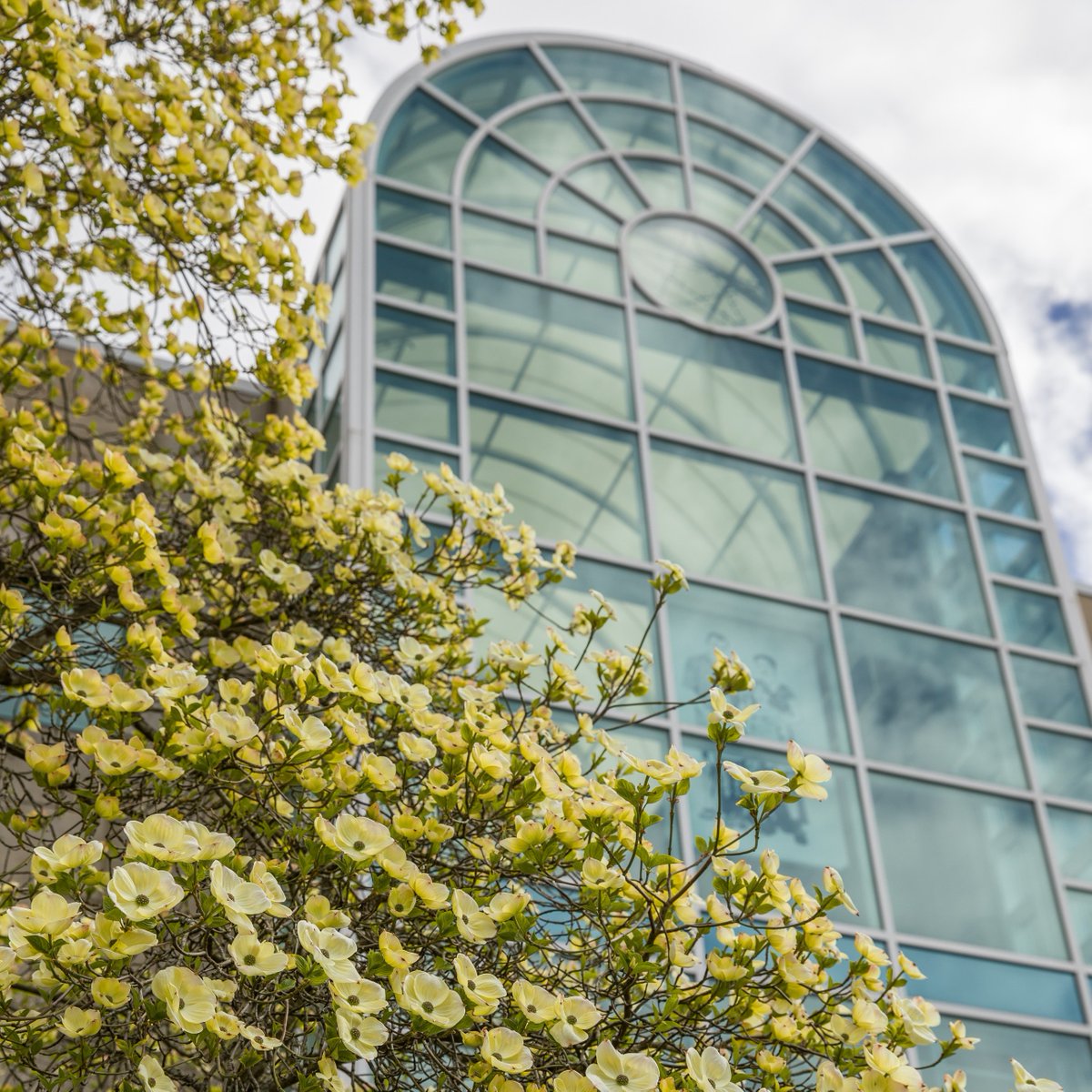 Camosun College tweet media