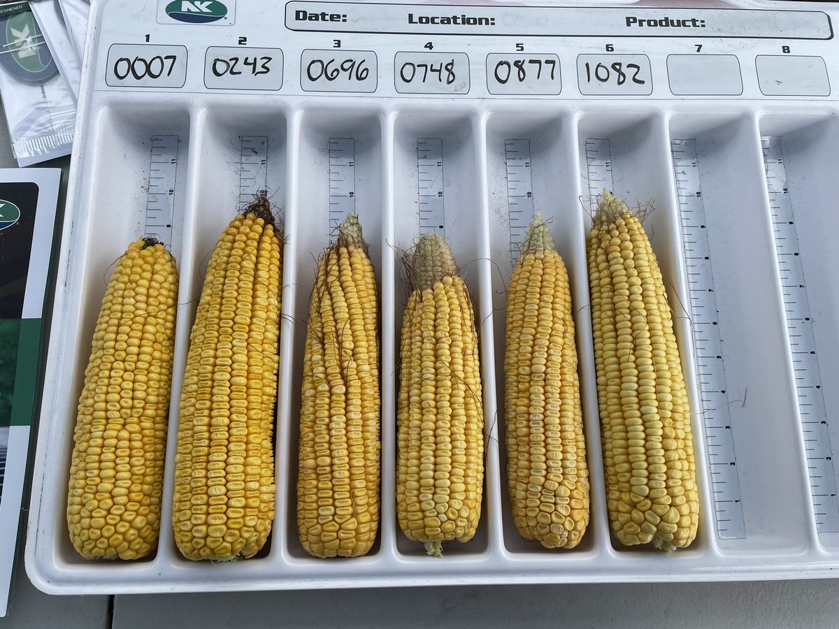 LukeRivir's tweet photo. Grower event today with @SunriseCoopOH at the Attica, OH @WinFieldUnited Answer Plot. Thanks for the @NKSeeds support and to @FinneyCCA for hosting. https://t.co/T4Ak4hoj0n