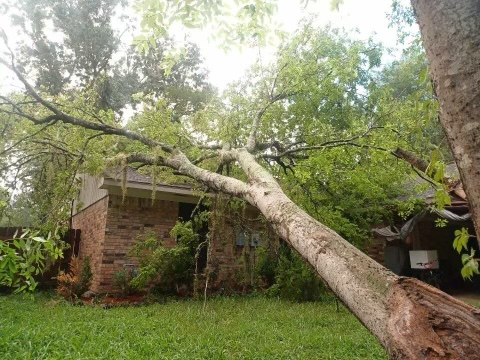 FRIHouston's tweet photo. With #houstonweather things can change in an instant. An unexpected #storm of any kind can be devastating. #mitigation #stormdamage #hurricaneseason #houston #restoration #reconstruction #roofdamage #stormcleanup #emergencyservices #watermitigation #waterdamage https://t.co/hZPlYbhsyc