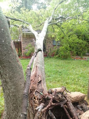 FRIHouston's tweet photo. With #houstonweather things can change in an instant. An unexpected #storm of any kind can be devastating. #mitigation #stormdamage #hurricaneseason #houston #restoration #reconstruction #roofdamage #stormcleanup #emergencyservices #watermitigation #waterdamage https://t.co/hZPlYbhsyc