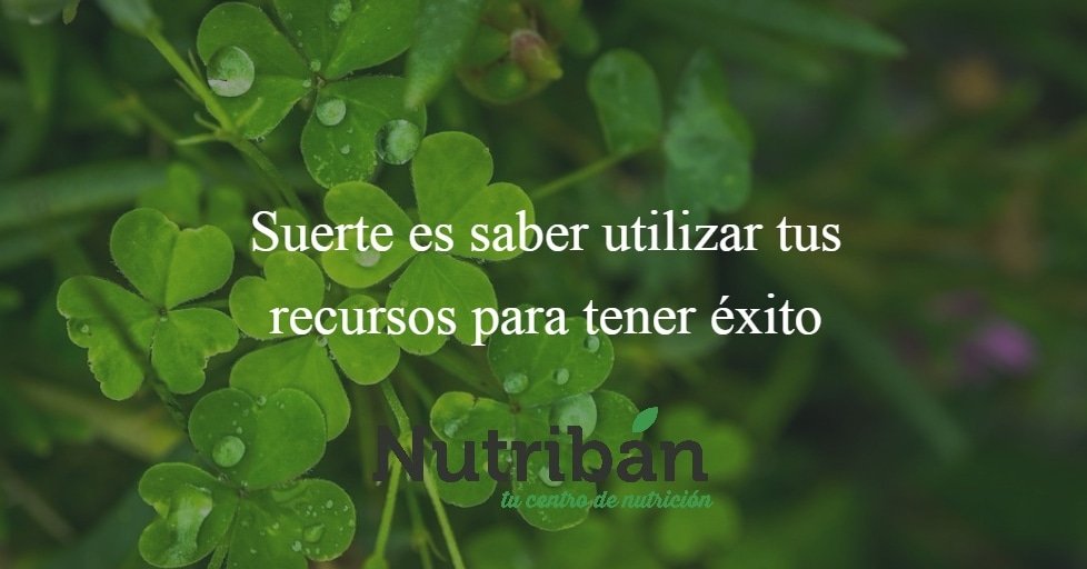 ☆ ¿Cómo llevas la semana? 

☆ Utiliza tus recursos para tener tu propio éxito, en <a href="/nutribandietas/">Nutribán</a> te ayudamos.

#dietistasnutricionistas
#recursos
#éxito #teayudamos #motivación