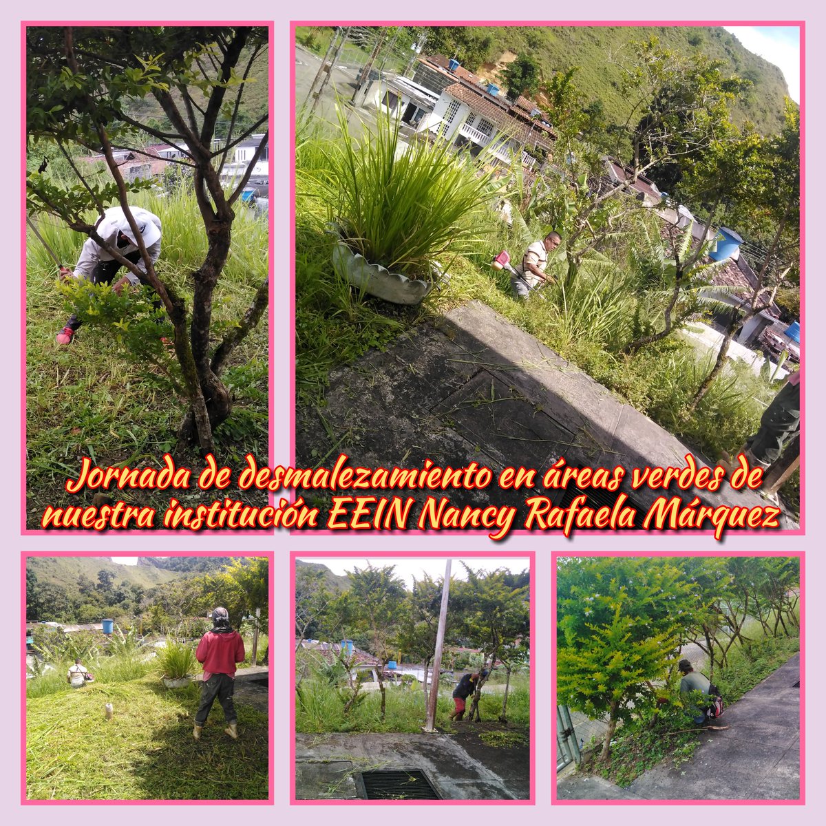 Gracias al apoyo de nuestra Alcaldesa <a href="/CordobaFlorece/">CórdobaFlorece</a> <a href="/FlorMar31831108/">Flor Maria</a> y la cuadrilla, se está realizando la jornada de mantenimiento y desmalezamiento en áreas verdes de nuestra institución EEIN Nancy Rafaela Márquez. <a href="/Berzabethg1/">Berzabethgandicaoficial</a> @MPPEDUCACION @ZonaEducTachira <a href="/_LaAvanzadora/">Yelitze Santaella</a>