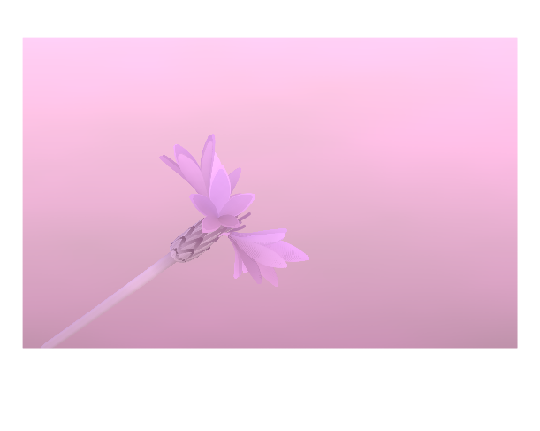 How cute is that!
(loading anijmation👀)