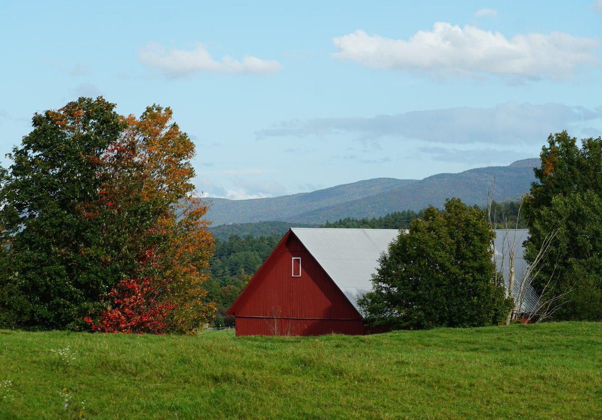 gostowe's tweet photo. Summer dances with fall.🌳🍁

Photo of the majestic Spear Barn by Sharon Harper. #summerinstowe #redbarns #stowevt #stowevermont #vermont #vt #thisisvt #fallinvt #stowefoliage #stowescenes https://t.co/MZaS3t6290