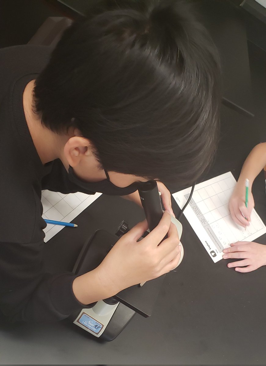 Michael Stagg tweet media