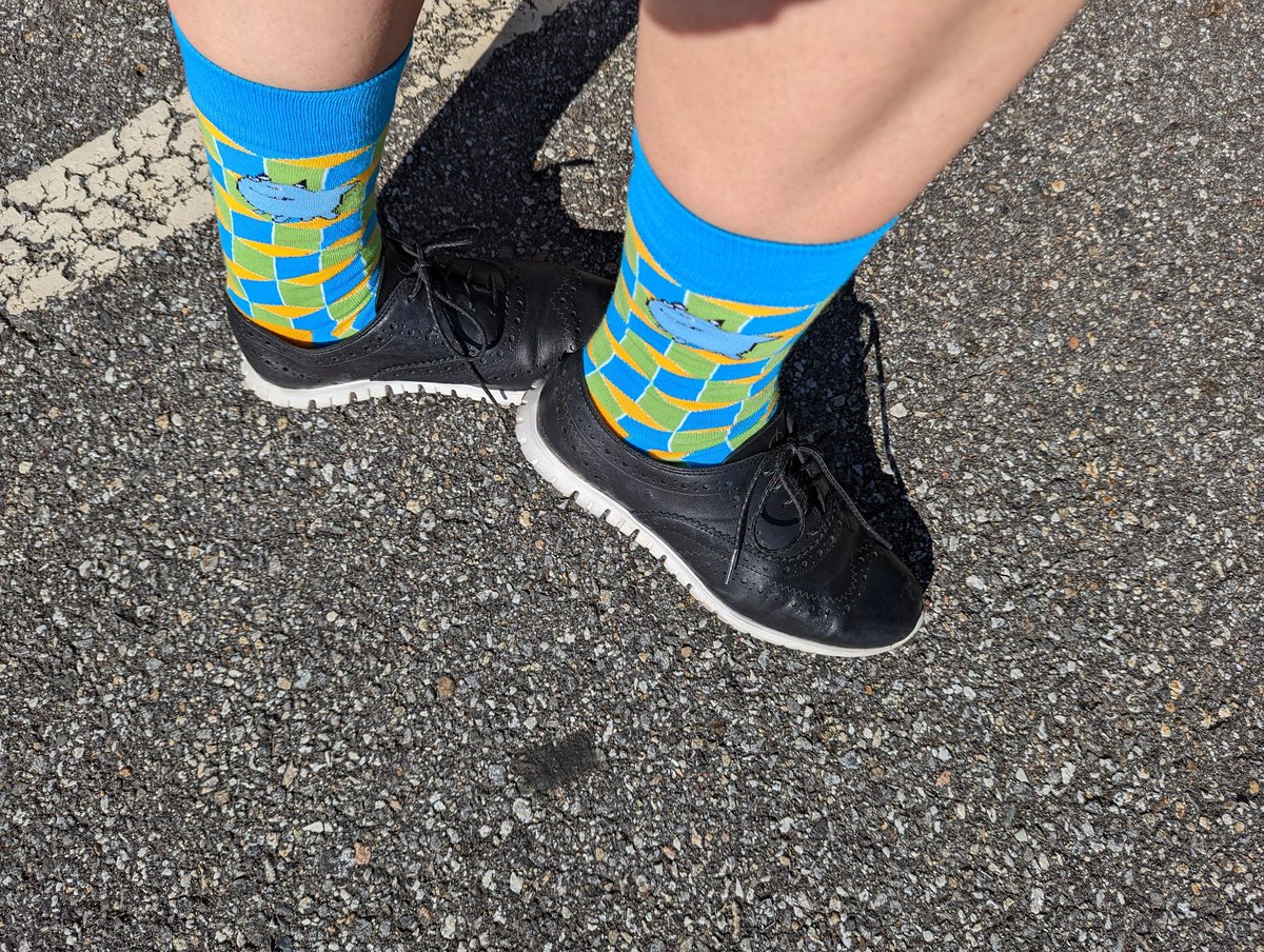 Elizabeth Neuendorff tweet media