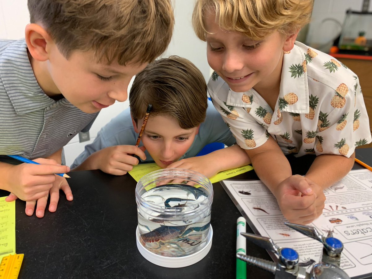 Lee County Mosquito Education tweet media