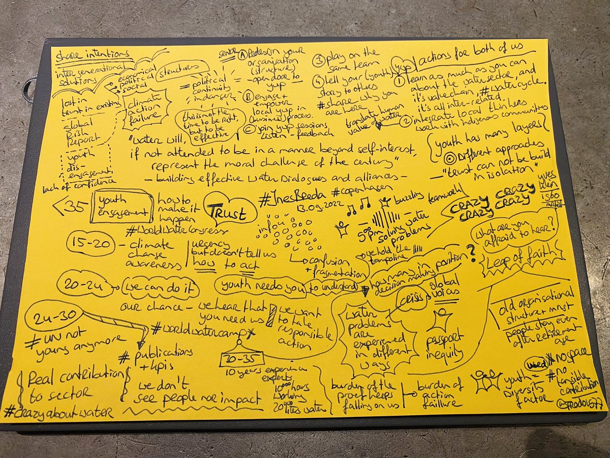 Frodo1977's tweet photo. BIG respect for @InesLBreda1 for sharing @iwaywp inter generational #action agenda during #WorldWaterCongress #leadership 💙 this is definitely what the #water sector/system needs #Changemaker #LeapOfFaith #CrazyCrazyCrazy #Trust https://t.co/VASeCusHur