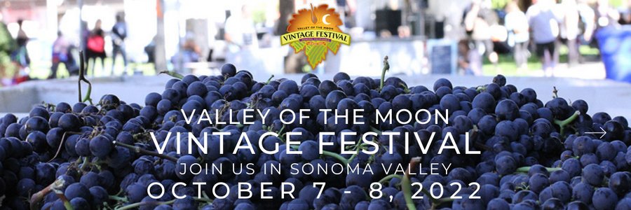 LimoSterling's tweet photo. The Sonoma Valley Harvest 2022 is upon us and with it comes autumn's season of long standing winery traditions and events. 

Sonoma's winemakers say this year "the quality looks outstanding"  and "the vintage 2022 is going to be one to remember". https://t.co/srkvbAFPe2