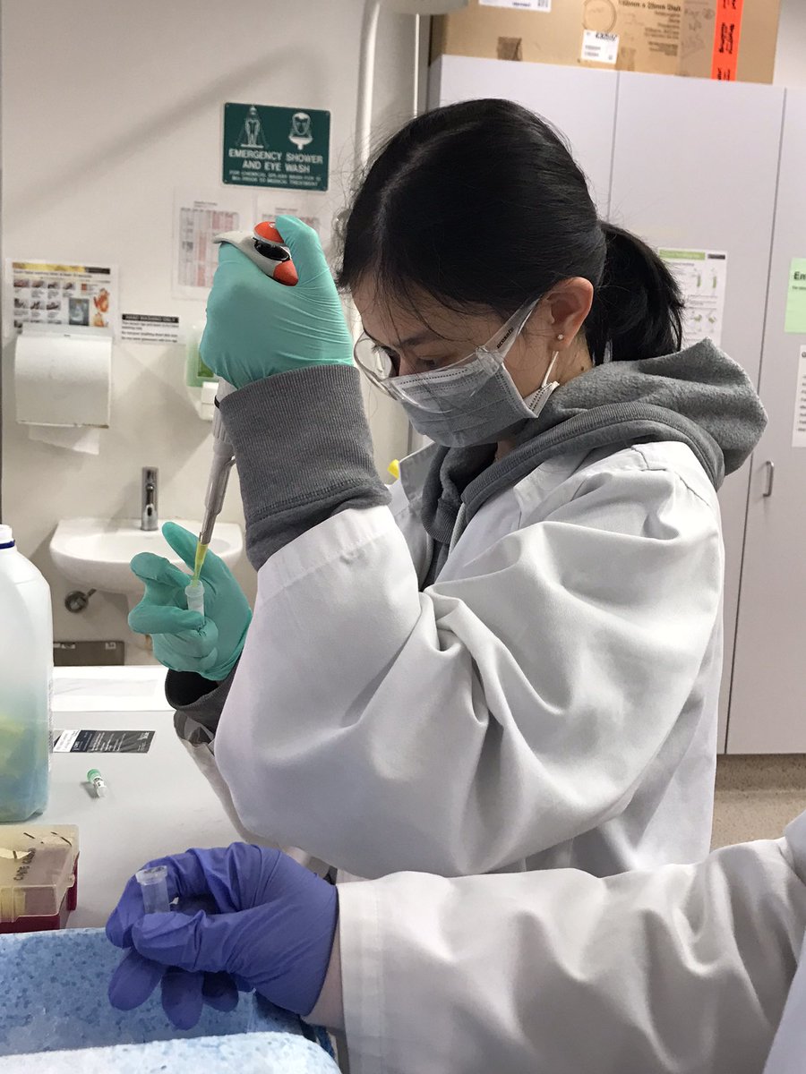 UTS_SynBio_Team tweet picture