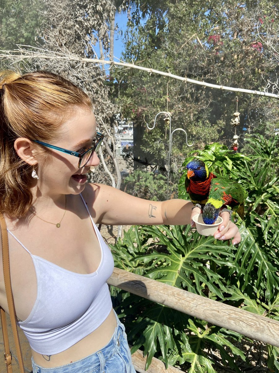 Deanna Gowland tweet media